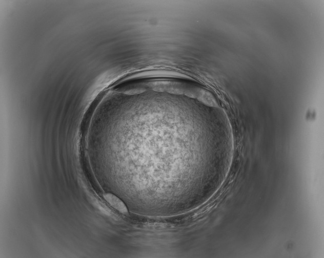 X0000094380242200711091607