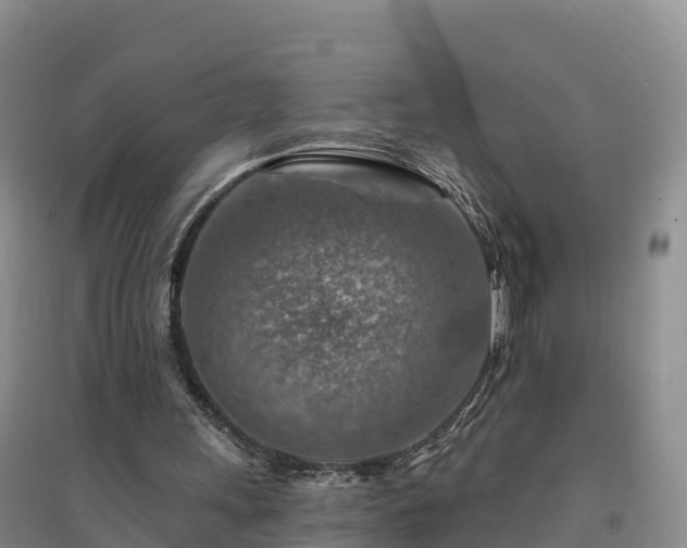 X0000094380243200711091607
