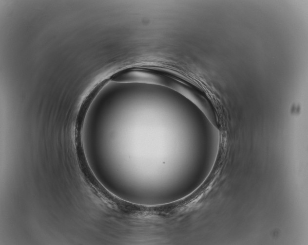 X0000094380244200711091607