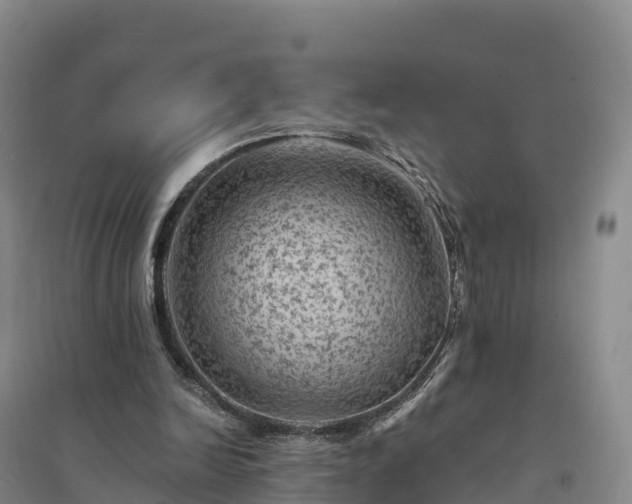 X0000094380246200711091607