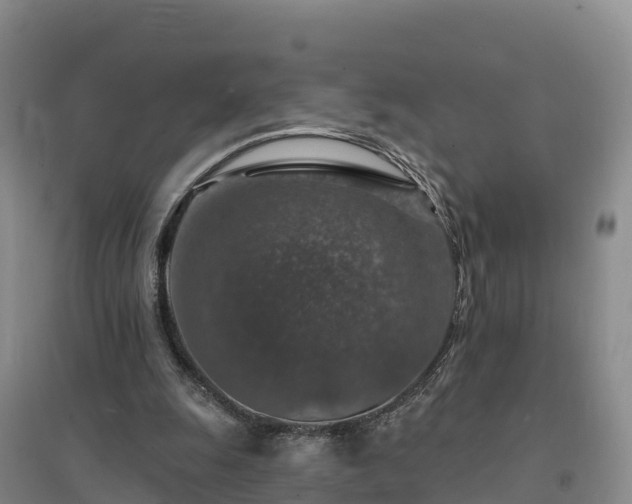 X0000094380247200711091607