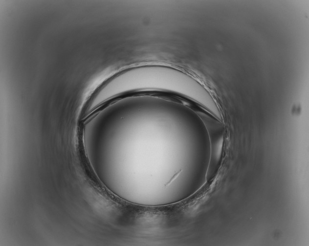 X0000094380248200711091608