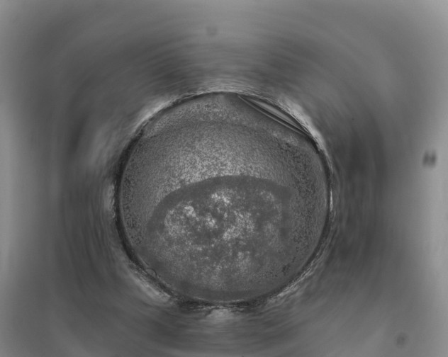 X0000094380249200711091608