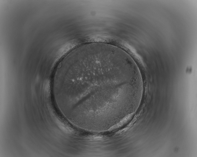 X0000094380250200711091608