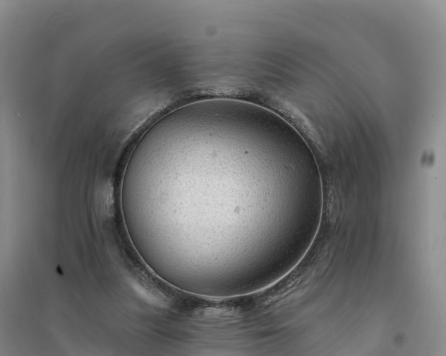 X0000094380251200711091608