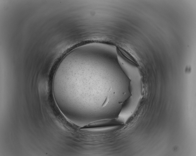 X0000094380252200711091608