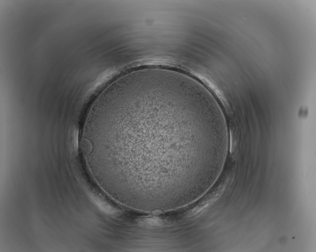 X0000094380253200711091608