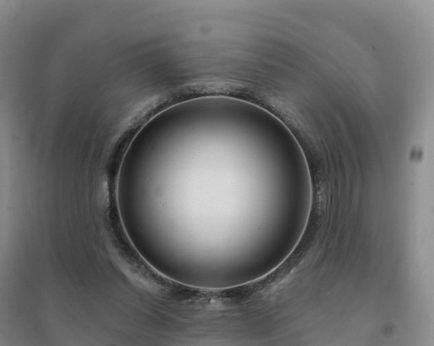 X0000094380254200711091608