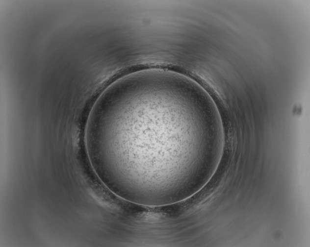 X0000094380255200711091608