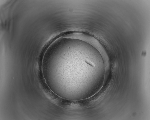 X0000094380256200711091608