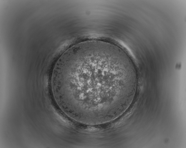 X0000094380257200711091608