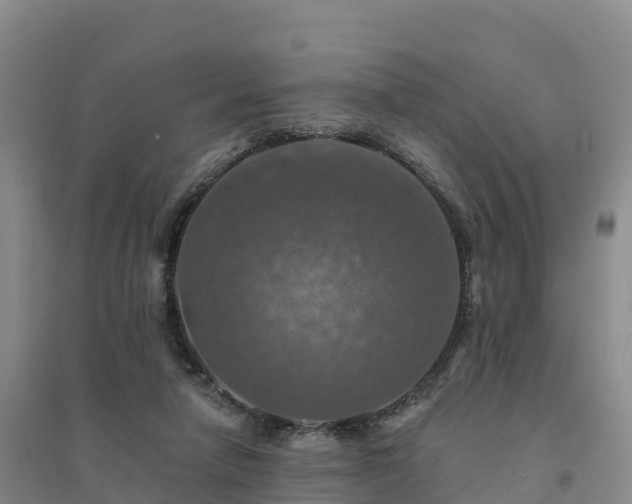 X0000094380258200711091608