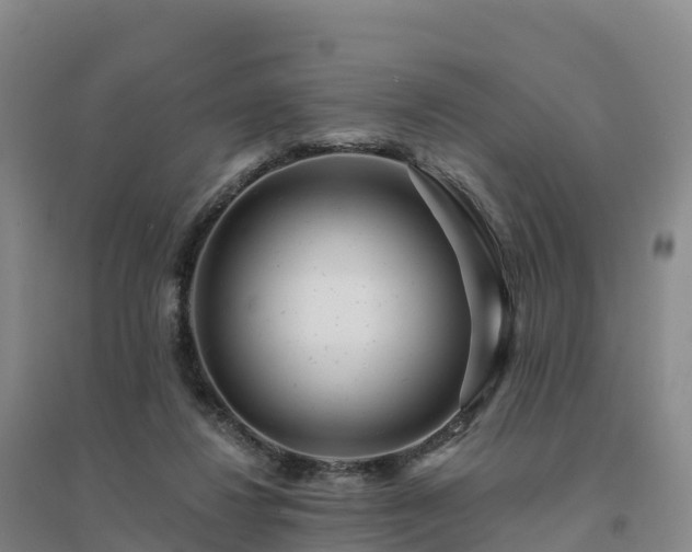 X0000094380260200711091608