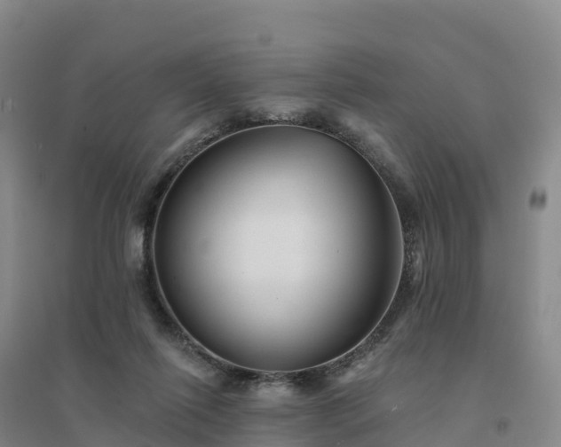 X0000094380262200711091608