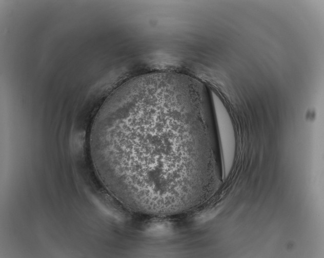 X0000094380263200711091608