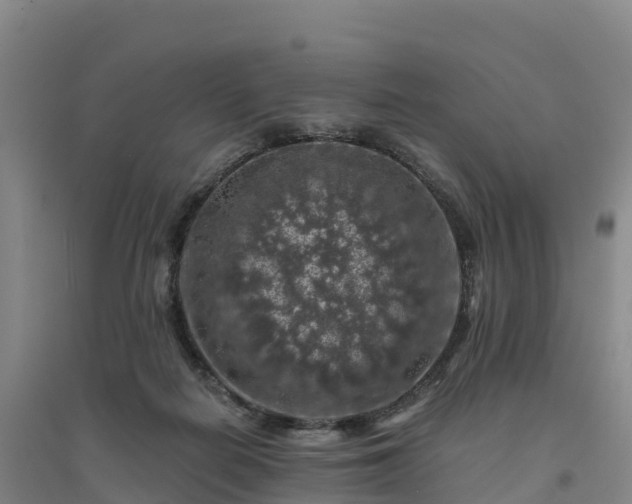 X0000094380266200711091608