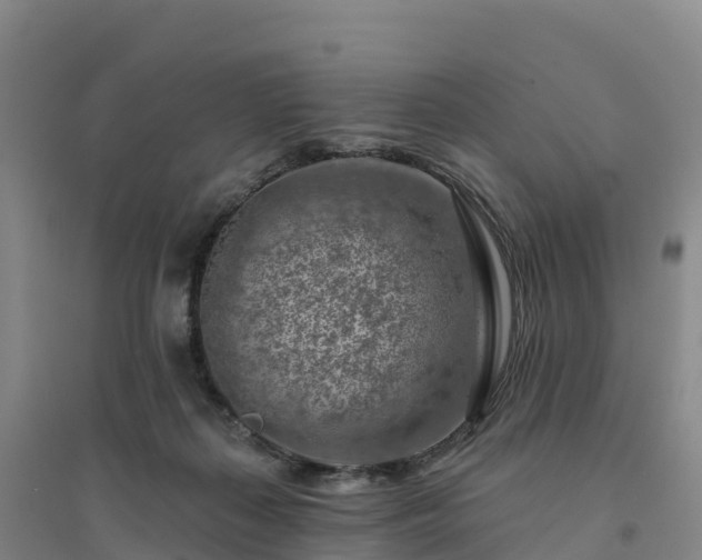 X0000094380267200711091608