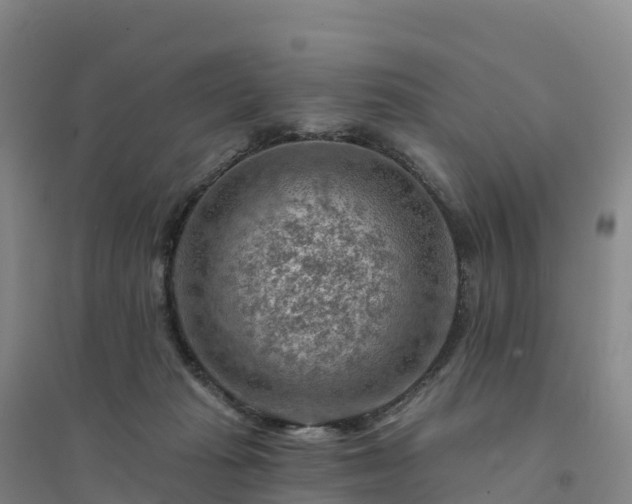 X0000094380269200711091608