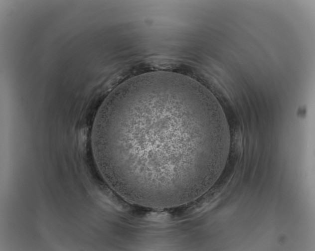 X0000094380271200711091608