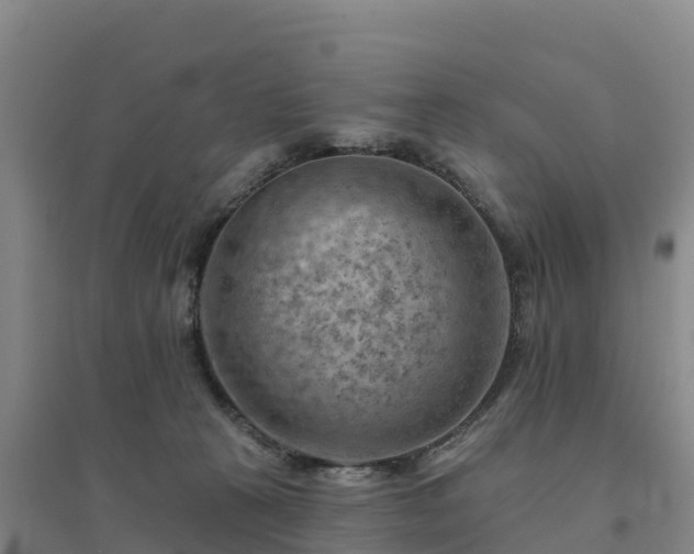 X0000094380273200711091608