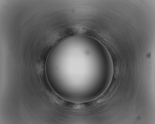 X0000094380274200711091608
