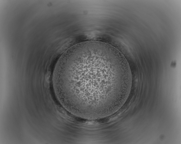 X0000094380275200711091608