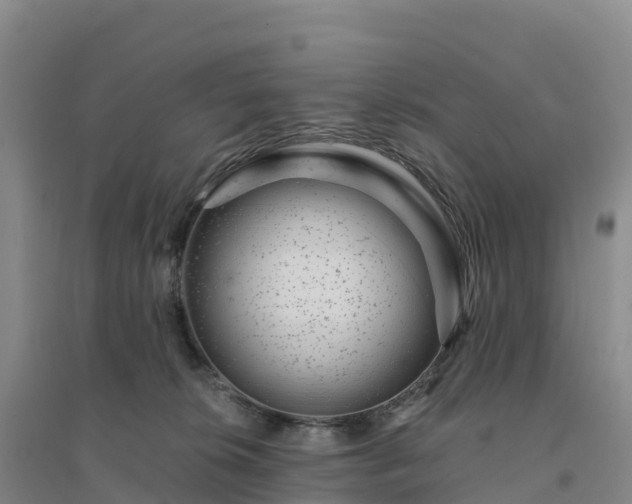 X0000094380276200711091608