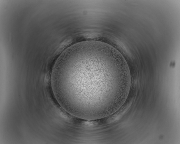 X0000094380277200711091608