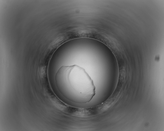 X0000094380278200711091608