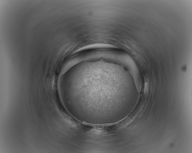 X0000094380280200711091608