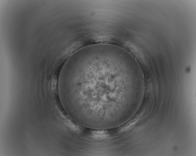 X0000094380281200711091608