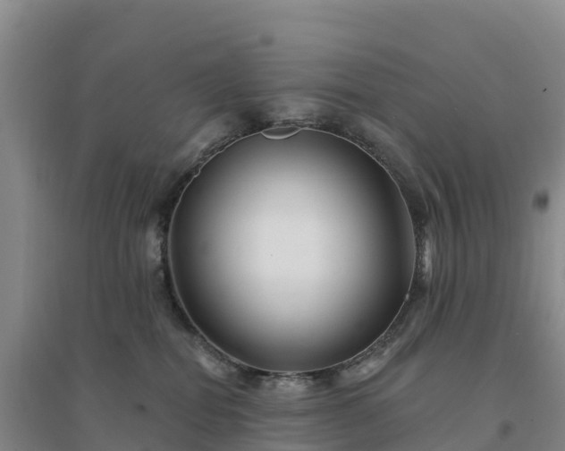 X0000094380282200711091608