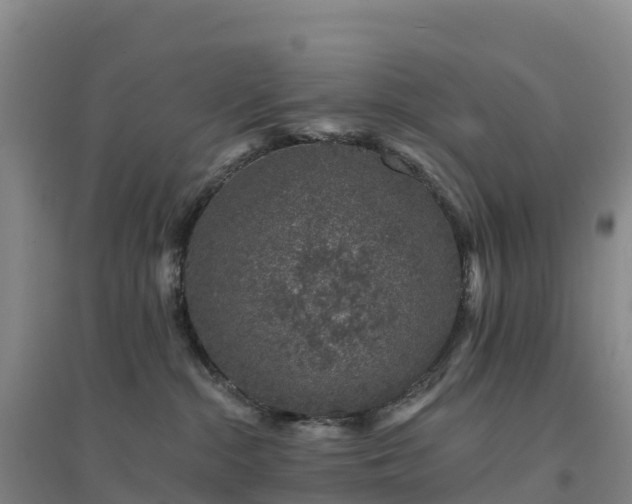 X0000094380284200711091608