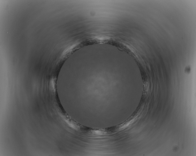 X0000094380286200711091608