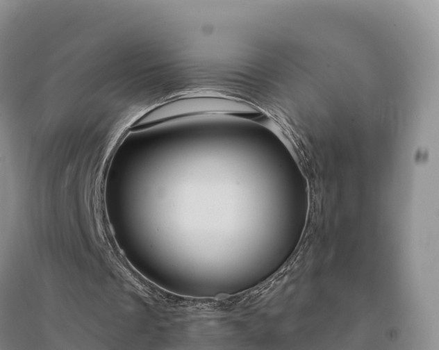 X0000094380289200711091607