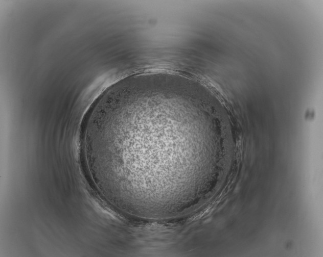 X0000094380290200711091607