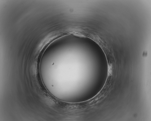 X0000094380291200711091607