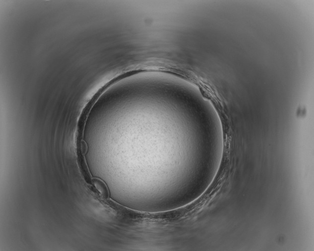 X0000094380292200711091607