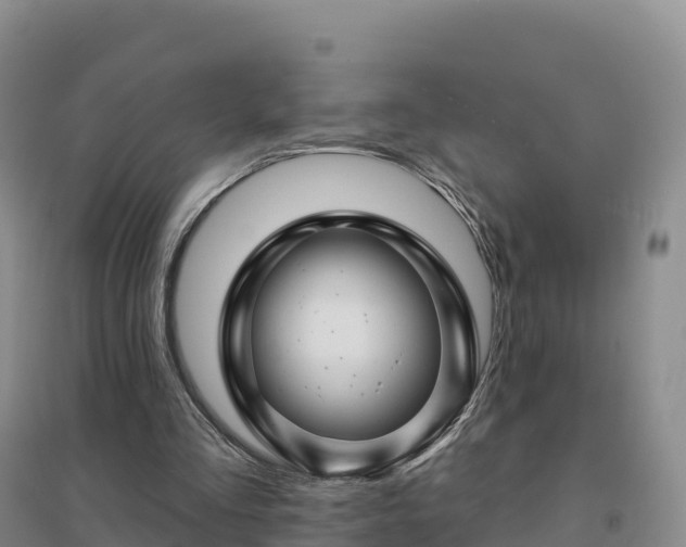X0000094380293200711091607