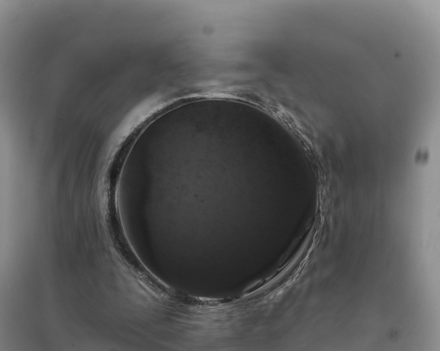 X0000094380295200711091607