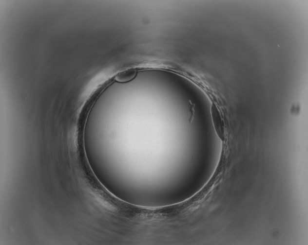 X0000094380296200711091607