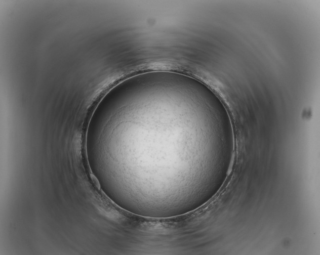 X0000094380297200711091607