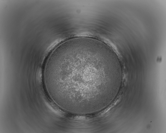 X0000094380298200711091607