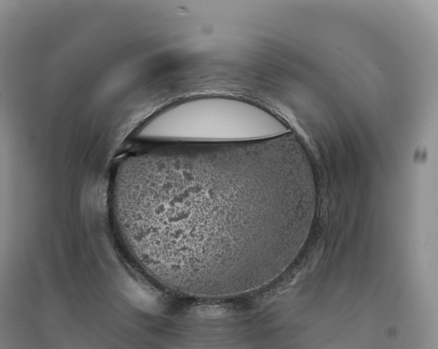 X0000094380299200711091607