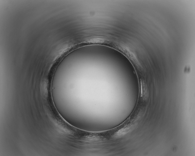 X0000094380300200711091607