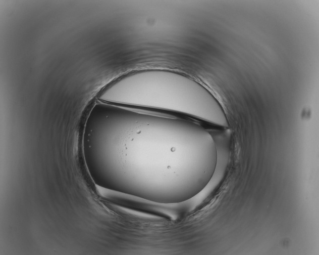 X0000094380301200711091607