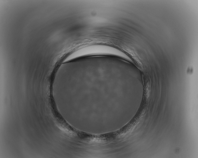X0000094380303200711091607