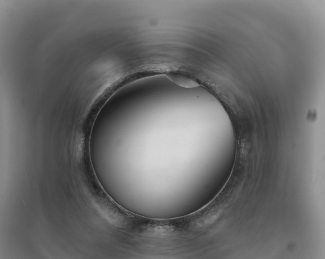X0000094380304200711091607