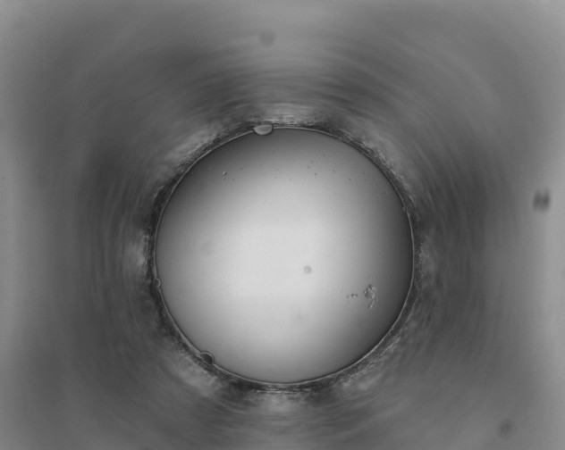 X0000094380305200711091607