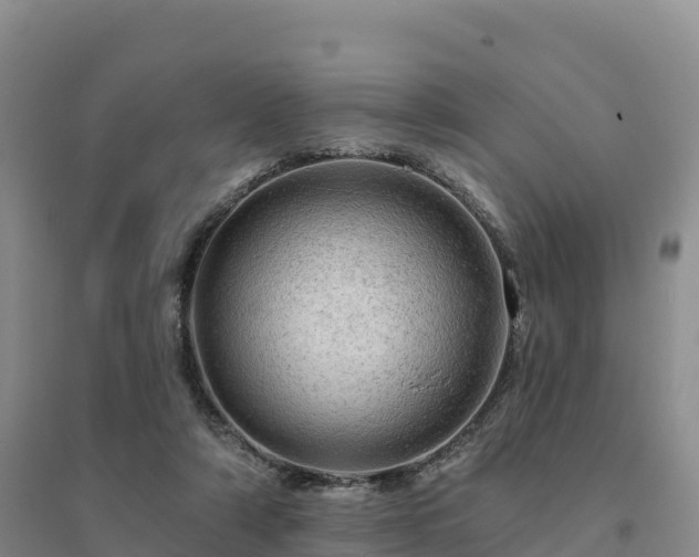X0000094380306200711091607